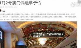 澳门最新爆料快报网址,揭秘热点事件，追踪最新动态