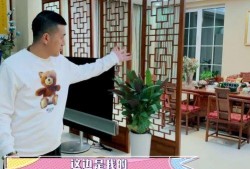 杨子侄女爆料视频大全集