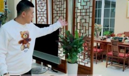 杨子侄女爆料视频大全集