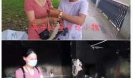 小魏老家爆料视频大全集,揭秘乡村生活点滴