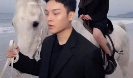 猫八卦主播爆料视频,揭秘八卦主播爆料的猫界风云录