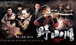 野山鹰-在线观看,探寻自然奇观，揭秘神秘山鹰传奇