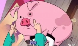 猪哥哥天天爆料视频大全,揭秘娱乐圈幕后真相