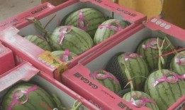 娱乐吃瓜酱礼物价格,价格背后的故事