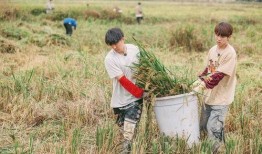 种地吧第三季最新爆料,神秘嘉宾加盟，农业科技新篇章即将开启！