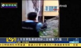 旅游景点霸凌爆料事件视频,视频曝光惊人一幕