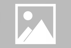 吴川新闻网爆料电话,揭秘热线电话背后的故事