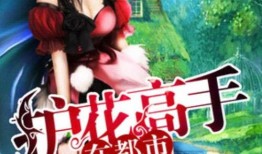 护花高手在都市在线观看,花间英雄，都市传奇
