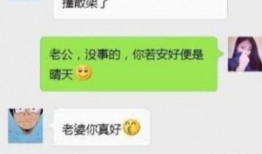 网络事件爆料视频搞笑段子,搞笑段子引发网友热议