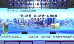 沅江市新闻爆料热线,聚焦民声，传递社会脉搏