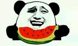 娱乐吃瓜酱学习,娱乐吃瓜酱带你领略娱乐圈最新热点与幕后故事