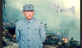 野山鹰-在线观看,探寻自然奇观，揭秘神秘山鹰传奇