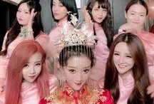 猫八卦主播爆料视频,揭秘八卦主播爆料的猫界风云录