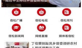 宿松新闻爆料,最新爆料揭示当地热点事件