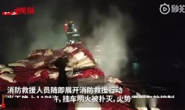 漂泊军马女技能爆料视频,技能爆料视频深度解析