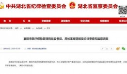 湖北爆料最新消息视频,视频揭露惊人真相！