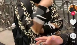 二姐爆料李玟视频,揭秘明星背后的故事