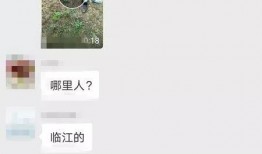 海门爆料新闻,聚焦热点事件，揭秘背后真相