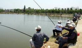 热点爆料钓鱼视频,钓鱼视频曝光，警惕陷阱！