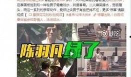 爆料韩静格视频完整版,事件真相与背后故事深度剖析