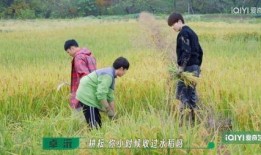 种地吧第三季最新爆料,神秘嘉宾加盟，农业科技新篇章即将开启！