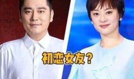 杨迪爆料孙俪视频在线观看,独家观看瞬间揭秘