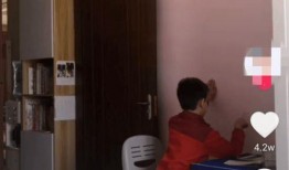 宜宾学校爆料视频曝光,揭秘校园内幕