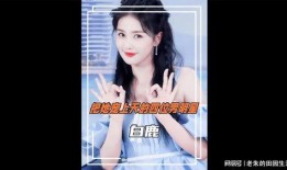 明星爆料白鹿视频大全下载,明星幕后故事大揭秘