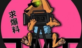 娱乐吃瓜游戏代言,明星游戏代言背后的精彩故事