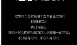 mega理想最新爆料