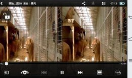 分屏3d电影在线观看,分屏3D电影在线观看指南