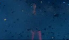 爆料天空视频下载,轻松获取热门视频内容